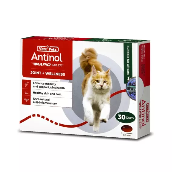 Antinol Joint Supplement for Cats 30粒