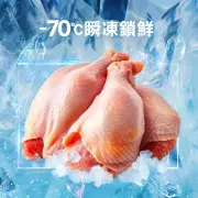 喵探長 派大雞|無穀凍乾全齡貓糧 1.5kg  [DM-CH-FD1.5kg]