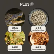 NU4PET 陪心寵糧 陪心機能PLUS | 川貝鱷魚粉 35g (貓犬通用) [N4P-CRO35]