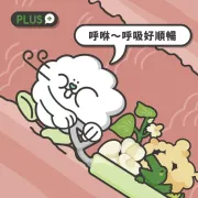 NU4PET 陪心寵糧 陪心機能PLUS | 川貝鱷魚粉 35g (貓犬通用) [N4P-CRO35]