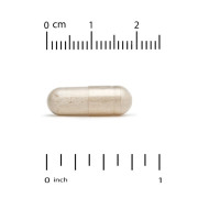 California Gold Nutrition, LactoBif 30 益生菌，300 億 CFU，60 粒素食膠囊