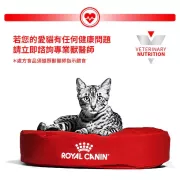 Royal Canin - Gastro Intestinal (GI32) 獸醫配方 腸胃 乾貓糧 2kg [2831300] *新包裝*