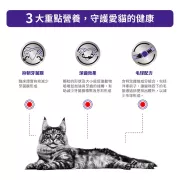 Royal Canin - Dental (DSO29) 獸醫配方 貓潔齒配方 貓乾糧 1.5kg [3094400] *紫標袋*