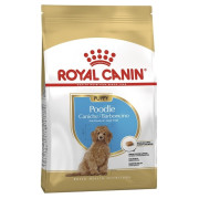 Royal Canin 純種系列 - 貴婦狗幼犬專屬配方 *Poodle Puppy* 狗乾糧 03kg [2576700]