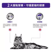 Royal Canin - Neutered Satiety Balance 獸醫配方 絕育平衡飽足感處方 貓乾糧 1.5kg [3088800] *紫標袋*