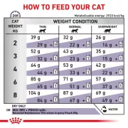 Royal Canin - Adult Cat 獸醫配方 成貓 貓乾糧-2kg [3088300]