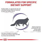 Royal Canin - Adult Cat 獸醫配方 成貓 貓乾糧-2kg [3088300]