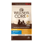 Wellness CORE 8327 室內貓海洋魚配方﹙無穀物﹚11lbs (新舊包裝隨機發貨)