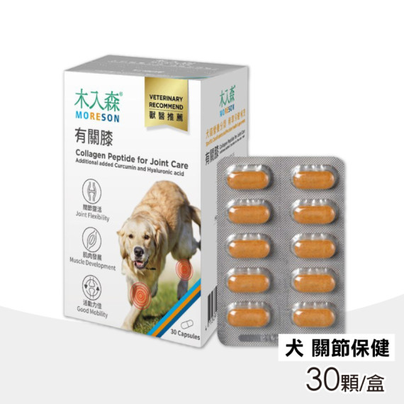 木入森 [MRSD050] - 犬寶 有關膝 30顆/盒 [新包裝] **新舊包裝隨機發送*