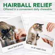 Vet’s Best [VBT10113] 貓用去毛球丸 Cat Hairball Relief Digestive Aid (60粒)