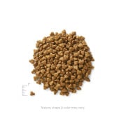 素力高無穀物(鵪鶉) 乾貓糧 Solid Gold Winged Tiger Cat Food 03lb (墨綠袋 啡標)[SG247]