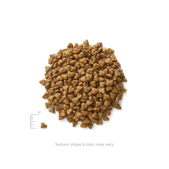 素力高無穀物(鵪鶉) 乾貓糧 Solid Gold Winged Tiger Cat Food 03lb (墨綠袋 啡標)[SG247]