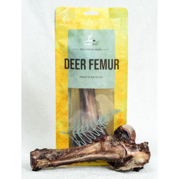 Dear Deer (Deer Femur) 鹿大腿骨 1根